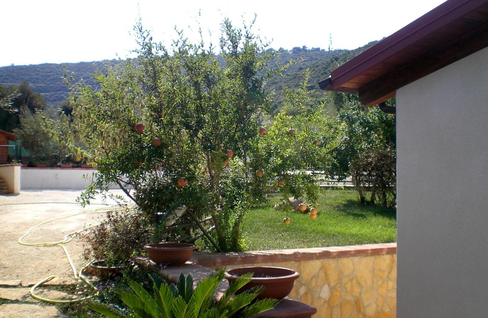 Bed And Breakfast La Casetta Monopoli Zewnętrze zdjęcie