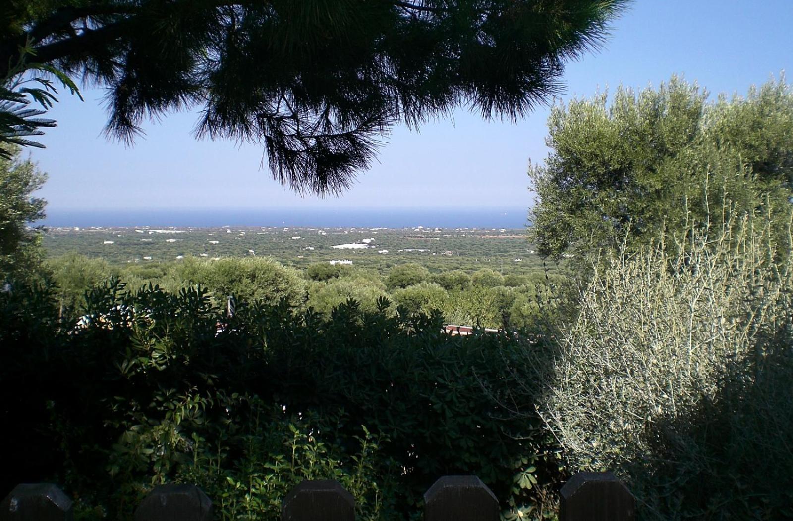 Bed And Breakfast La Casetta Monopoli Zewnętrze zdjęcie