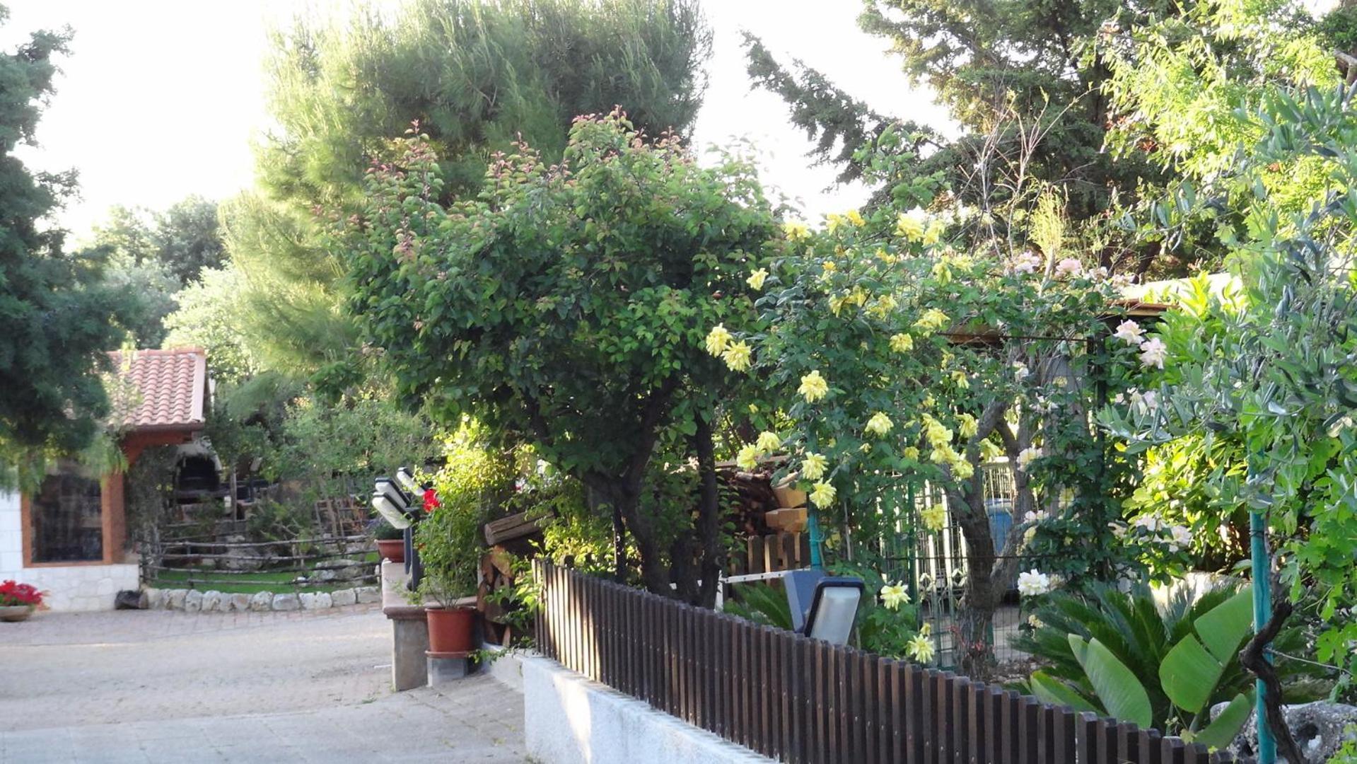 Bed And Breakfast La Casetta Monopoli Zewnętrze zdjęcie