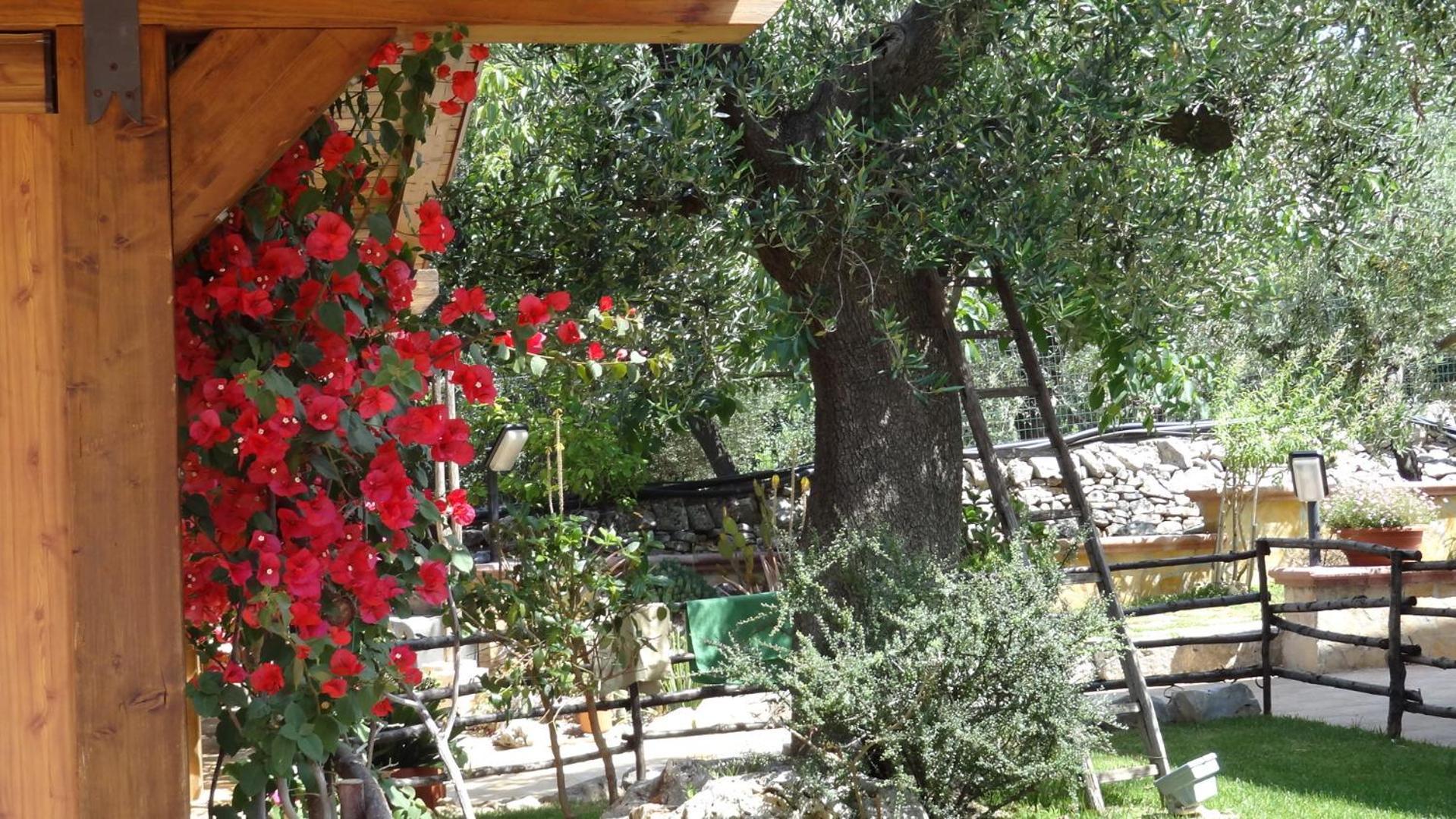 Bed And Breakfast La Casetta Monopoli Zewnętrze zdjęcie
