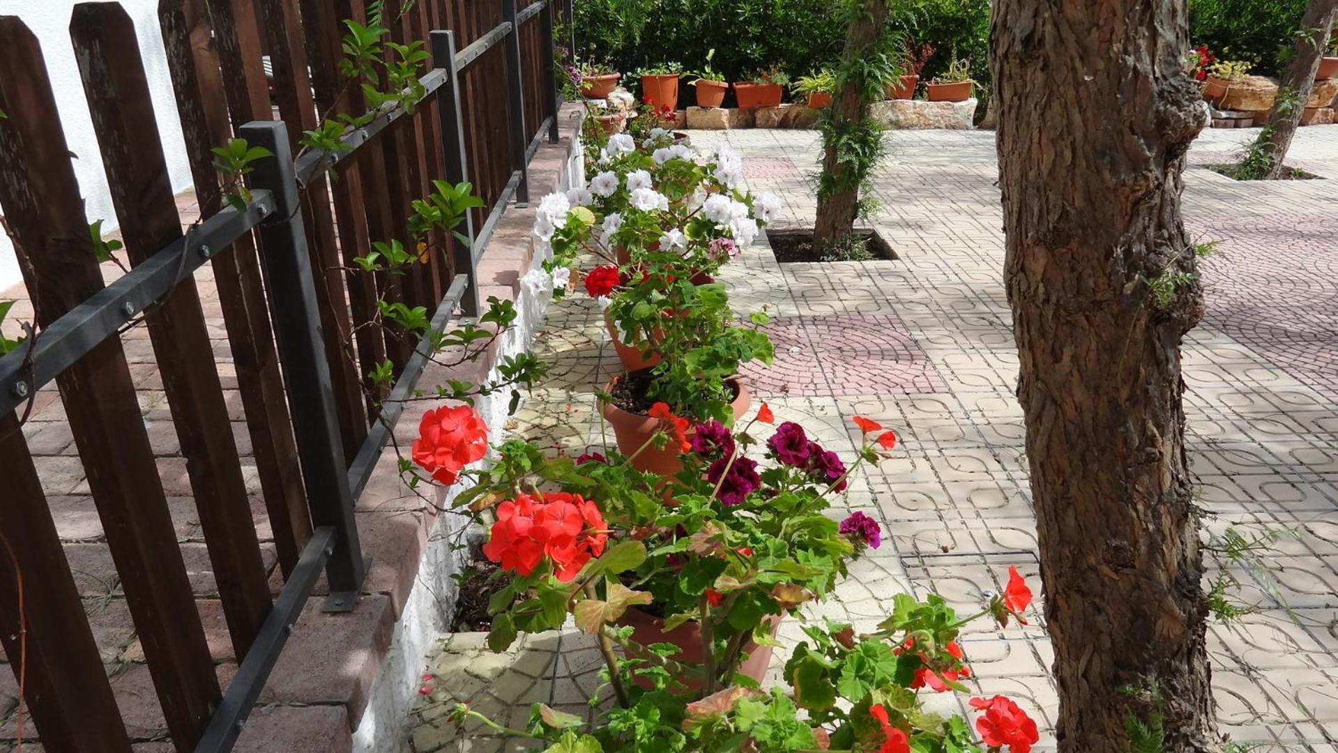 Bed And Breakfast La Casetta Monopoli Zewnętrze zdjęcie