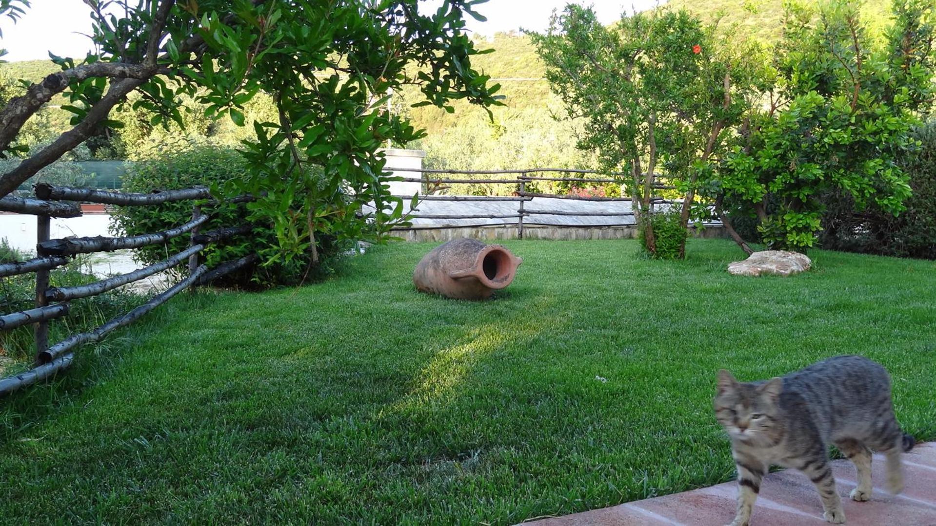 Bed And Breakfast La Casetta Monopoli Zewnętrze zdjęcie